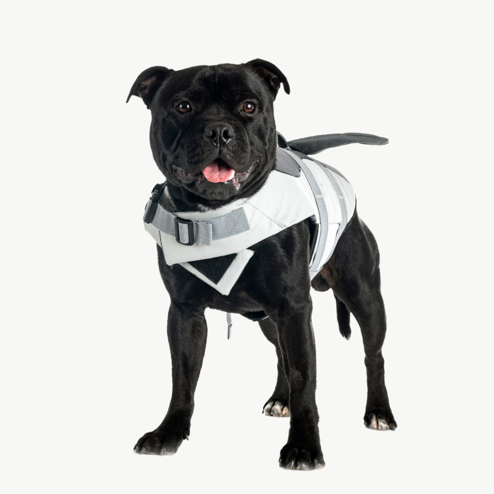 Classic Dog T-shirt - Image 4